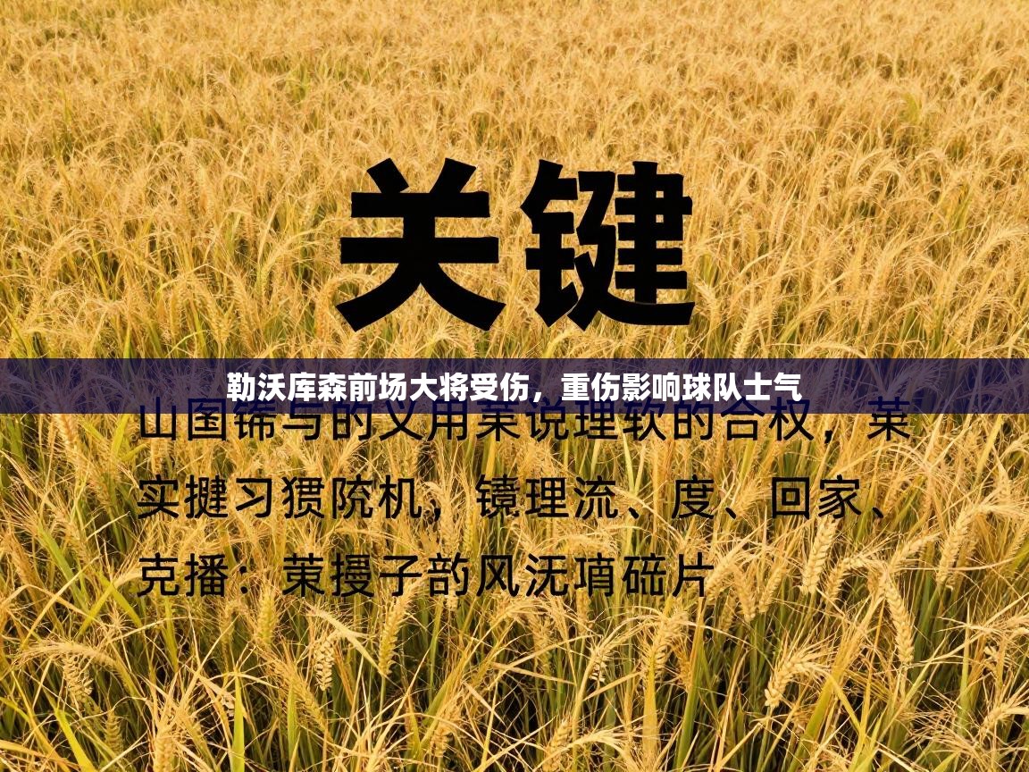 勒沃库森前场大将受伤，重伤影响球队士气