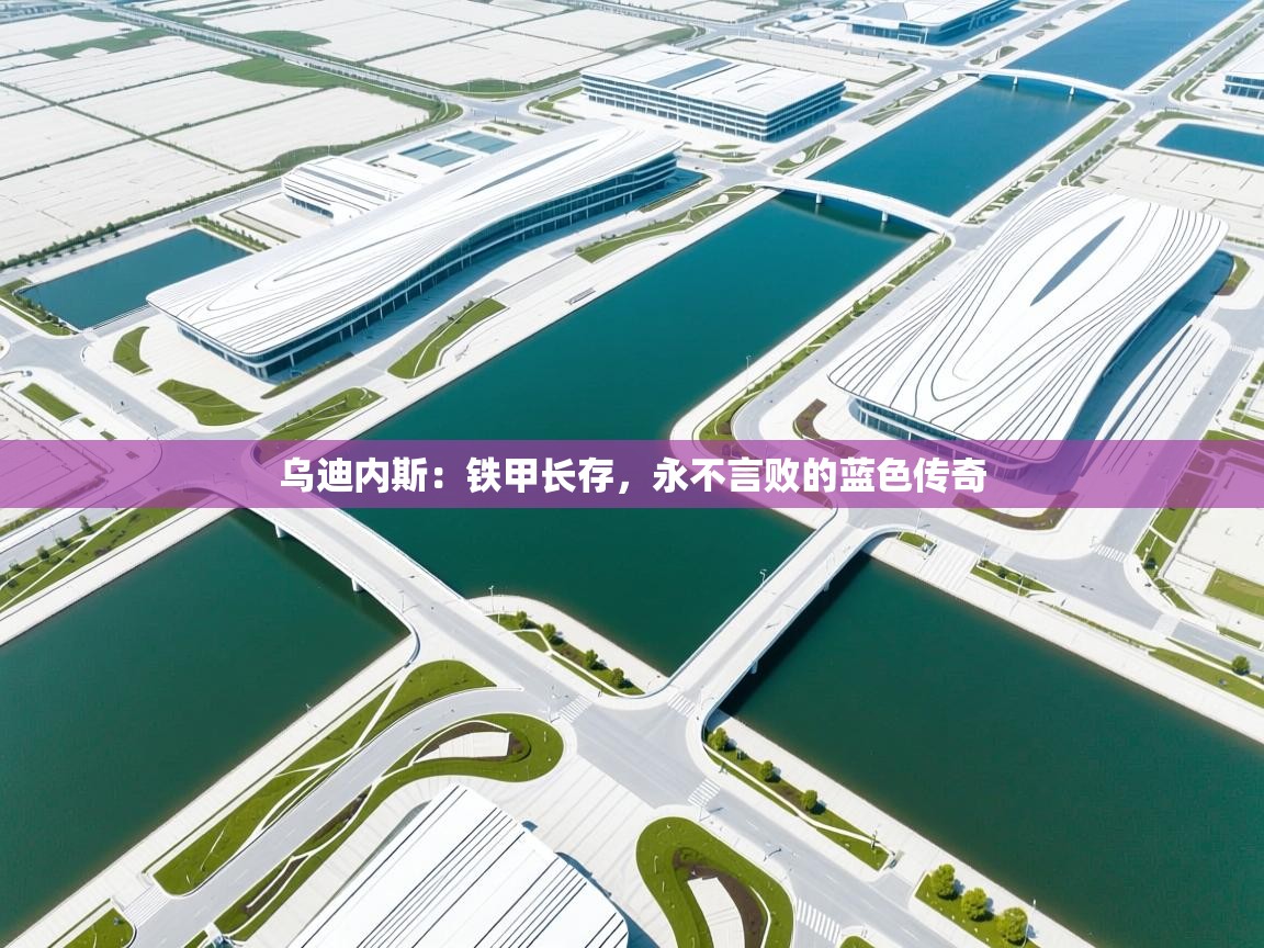 乌迪内斯:铁甲长存,永不言败的蓝色传奇 第1张