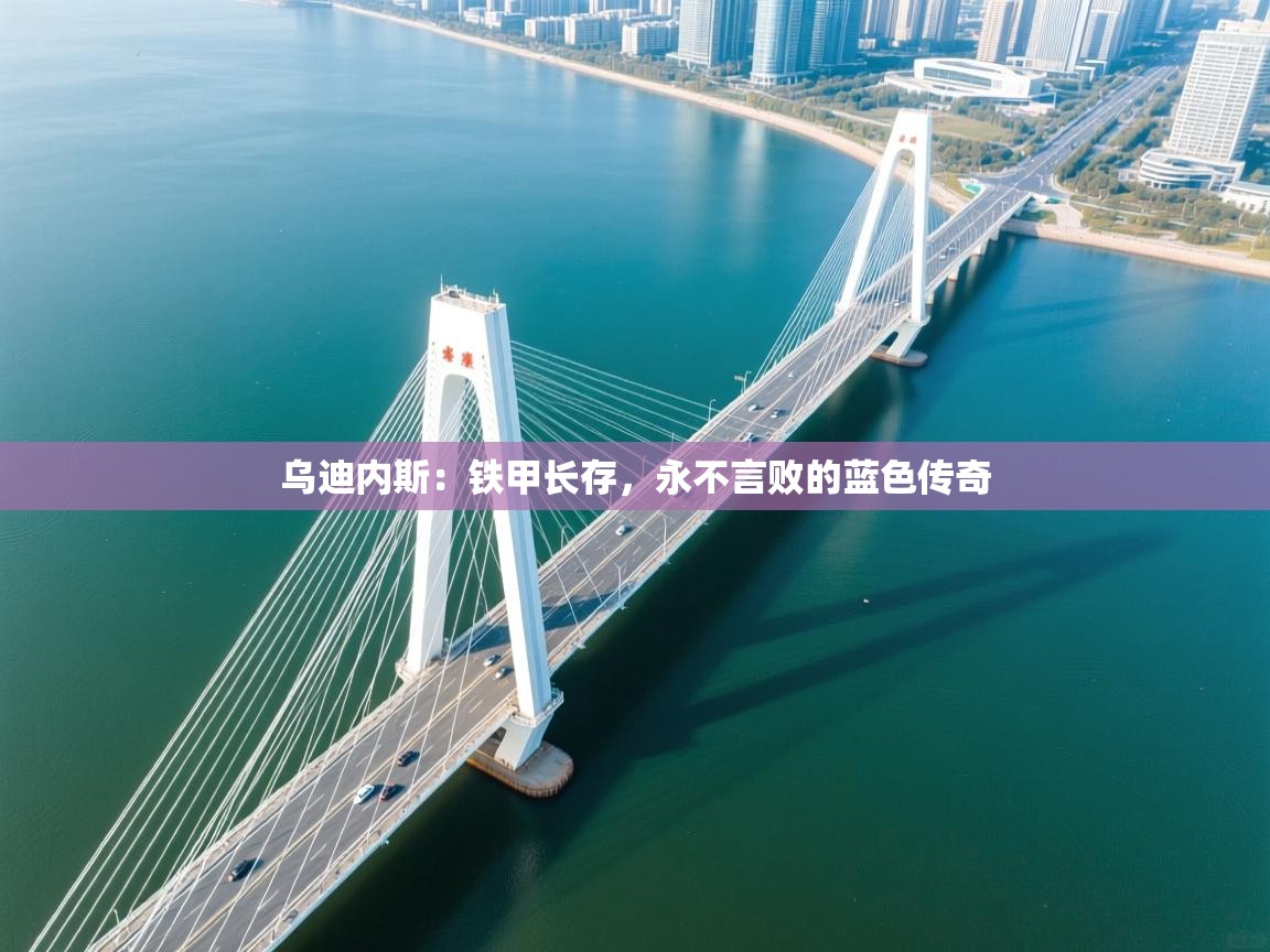 乌迪内斯:铁甲长存,永不言败的蓝色传奇 第2张